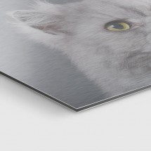 Dibond impreso aluminio cepillado