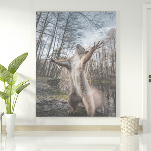 Animales